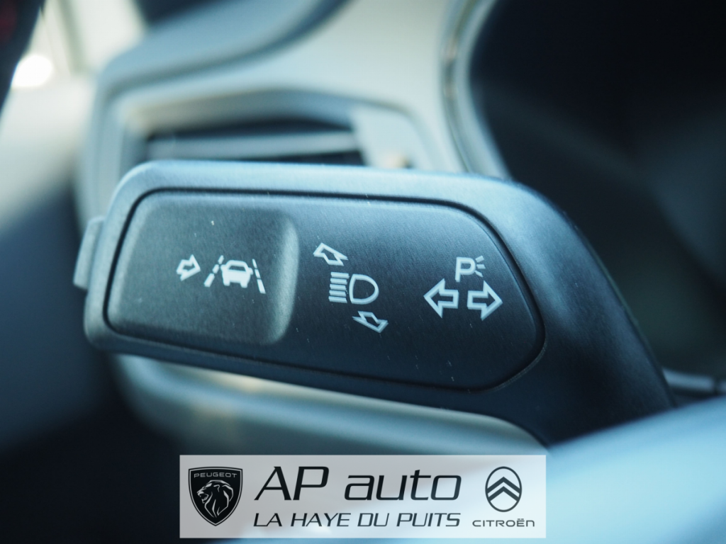 Ford Focus (4) 1.5 EcoBlue 115ch BVA8 St-Line X