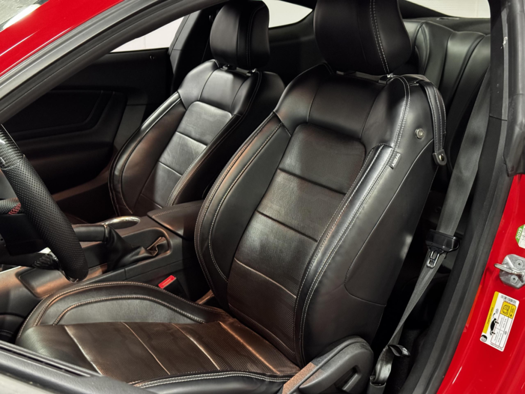 Ford Mustang (6) Fastback V8 BVM6 GT