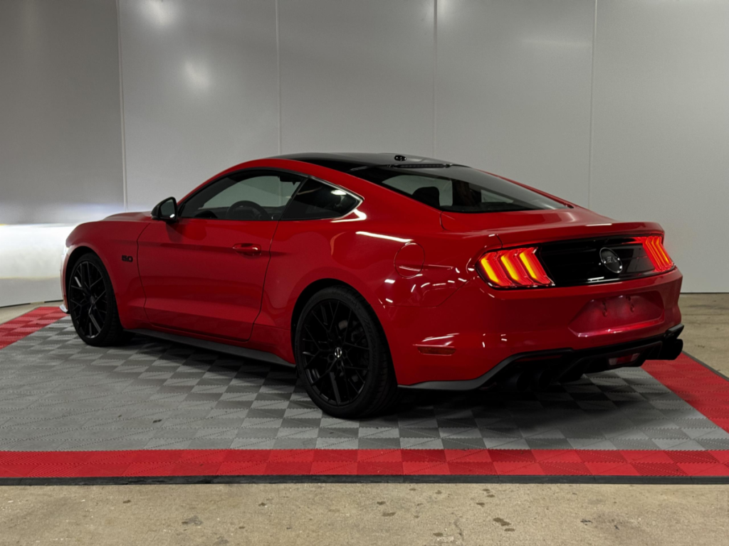 Ford Mustang (6) Fastback V8 BVM6 GT