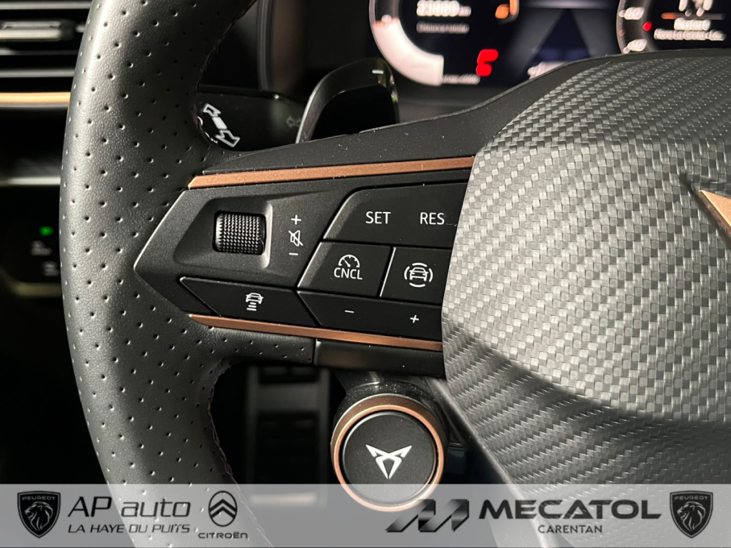 Cupra Formentor 2.0 TDI 150CH DSG7 V