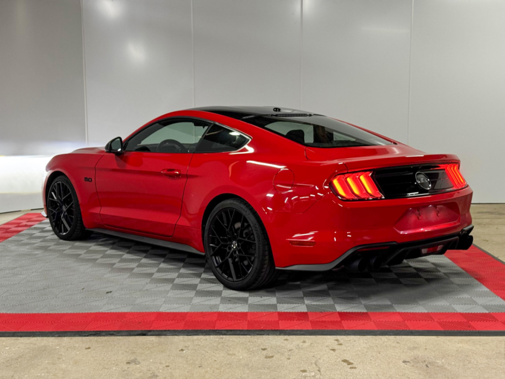 Ford Mustang (6) Fastback V8 BVM6 GT