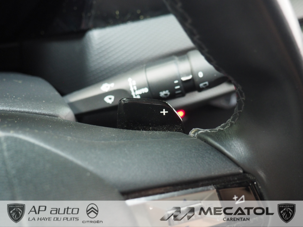 Ds DS 4 (2) E-TENSE 225 CROSS RIVOLI AUTO