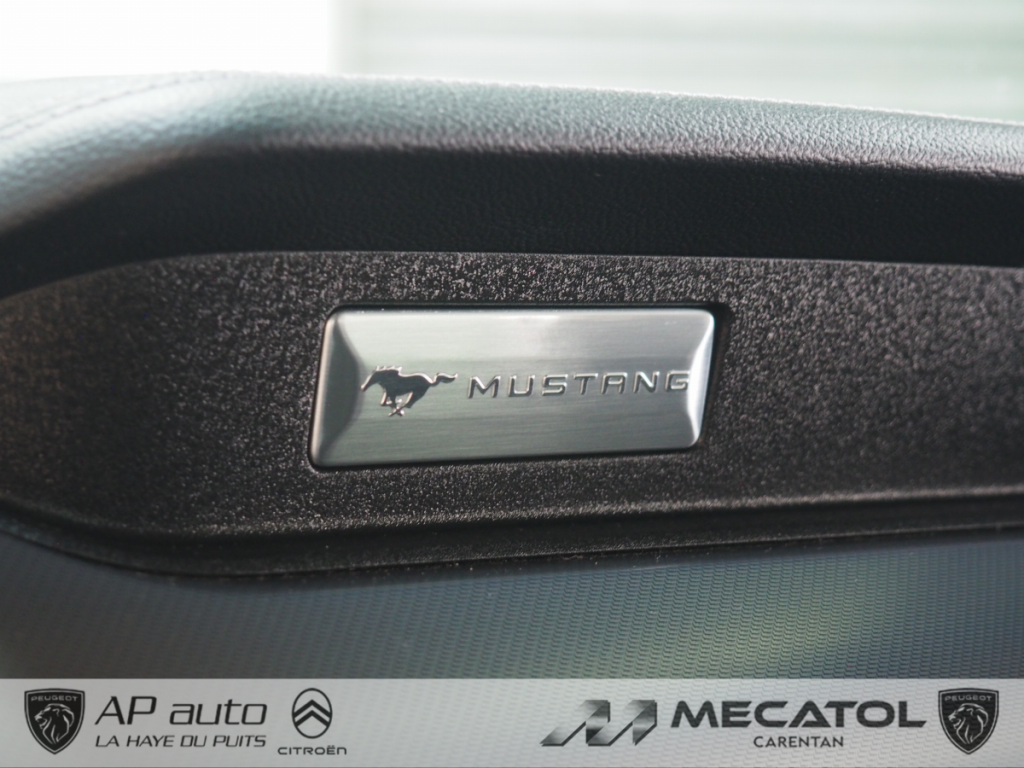 Ford Mustang (6) Fastback V8 BVM6 GT